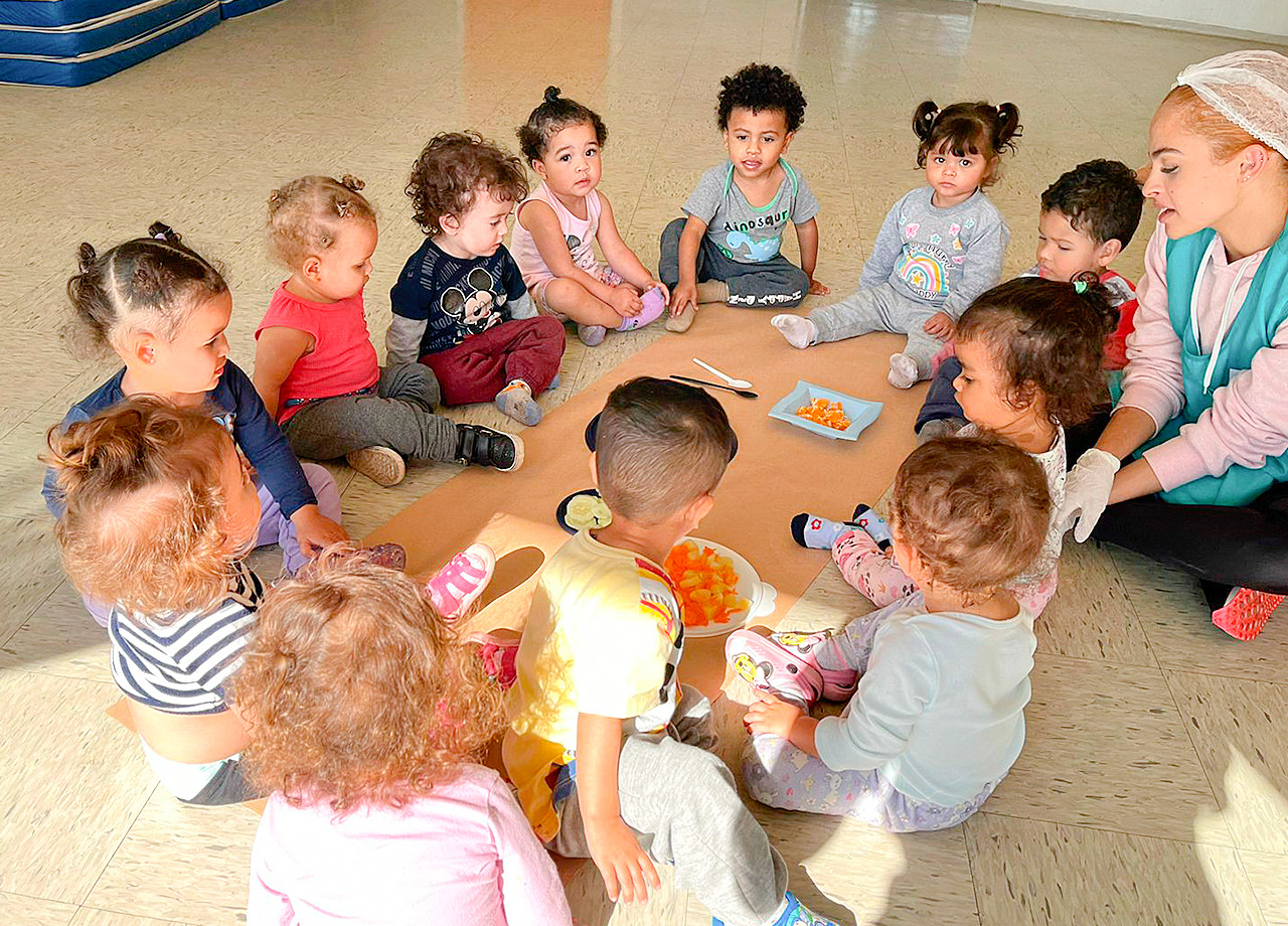 Conclusão dos Projetos de Sala - Berçários